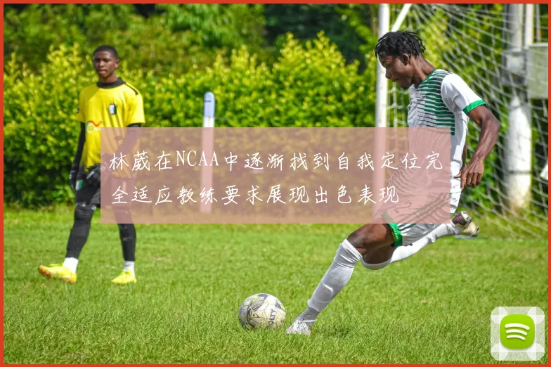林葳在NCAA中逐渐找到自我定位完全适应教练要求展现出色表现