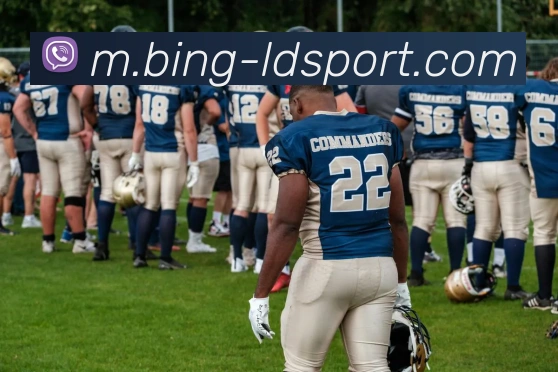 App Interface Preview