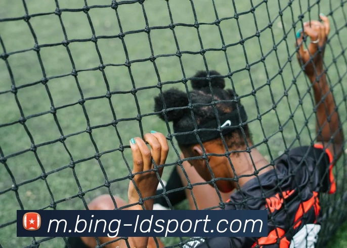 乐动体育APP 封面图